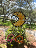 Sun Catcher